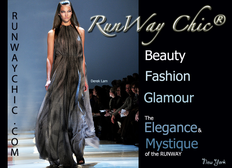 Runway Chic Cover Image