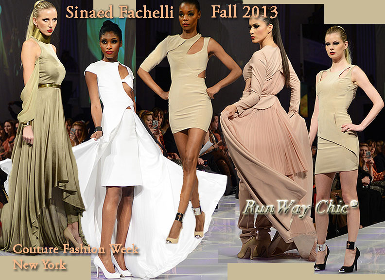Sinead Fachelli Fall 2013